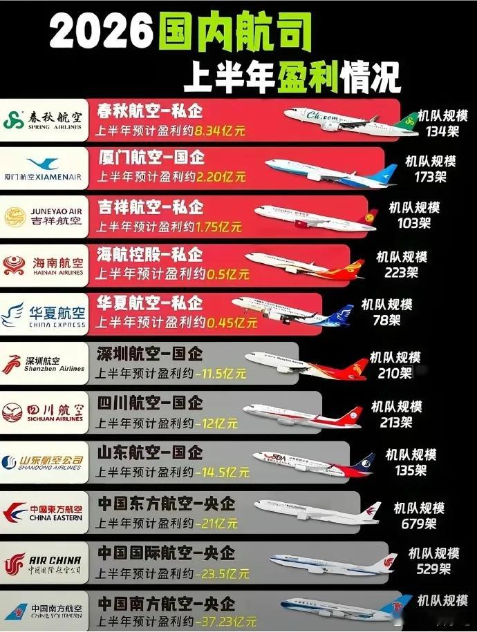 除了厦门航空，盈利的全是私企。国企少亏，央企巨亏，越大亏越多。