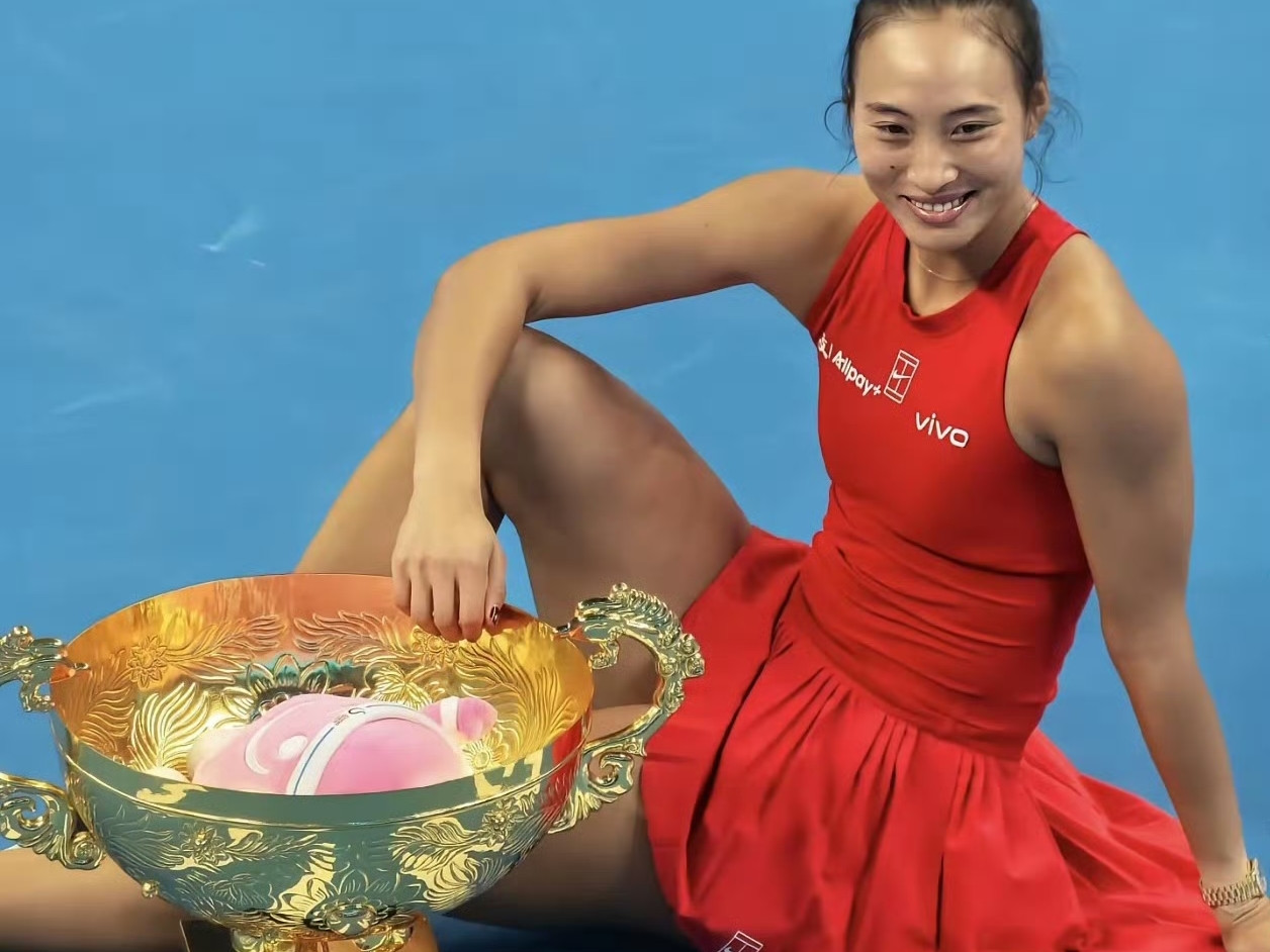 郑钦文对阵当今世界排名前10战绩如下：🇰🇿莱巴金娜（1胜5负，胜率16.