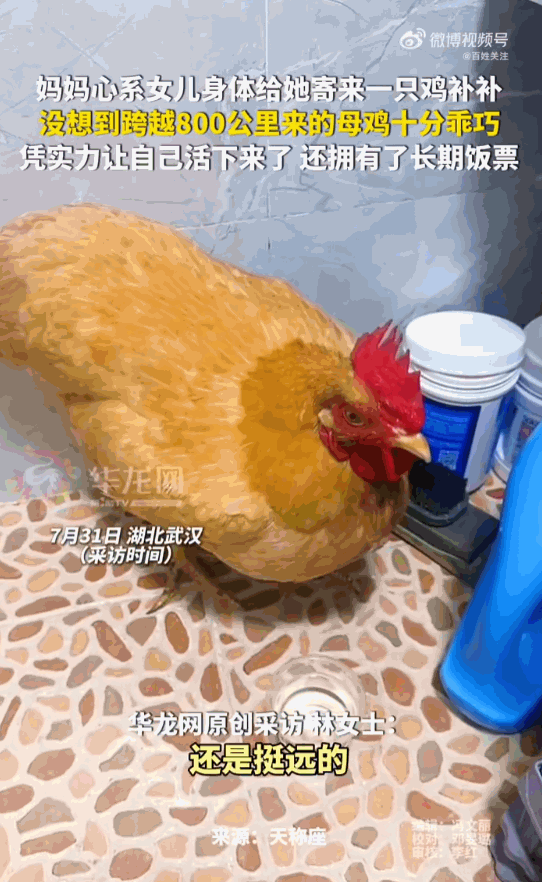 万物皆有灵！湖北武汉，一位老母亲心疼在外打拼的女儿，特意从八百公里外的老家寄过去