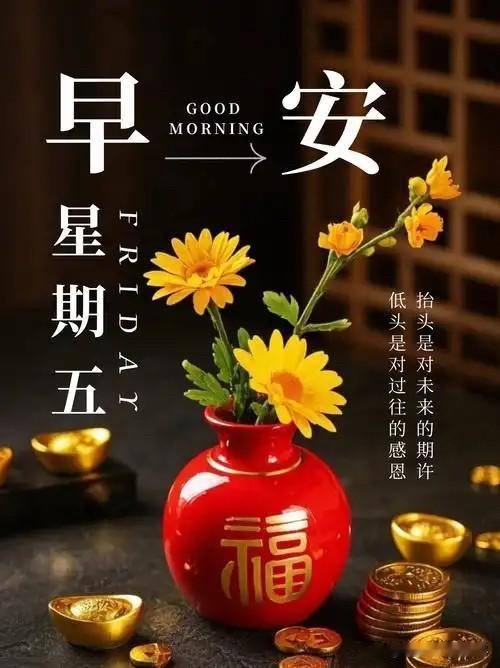 🍃꧂🌞早上好💕᭄🌿☕️𝒢𝑜𝑜𝒹?