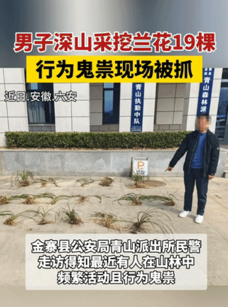 安徽，男子拿着工具进山找寻兰花，准备移植一些到家里种植。结果当地民警得知，认为这