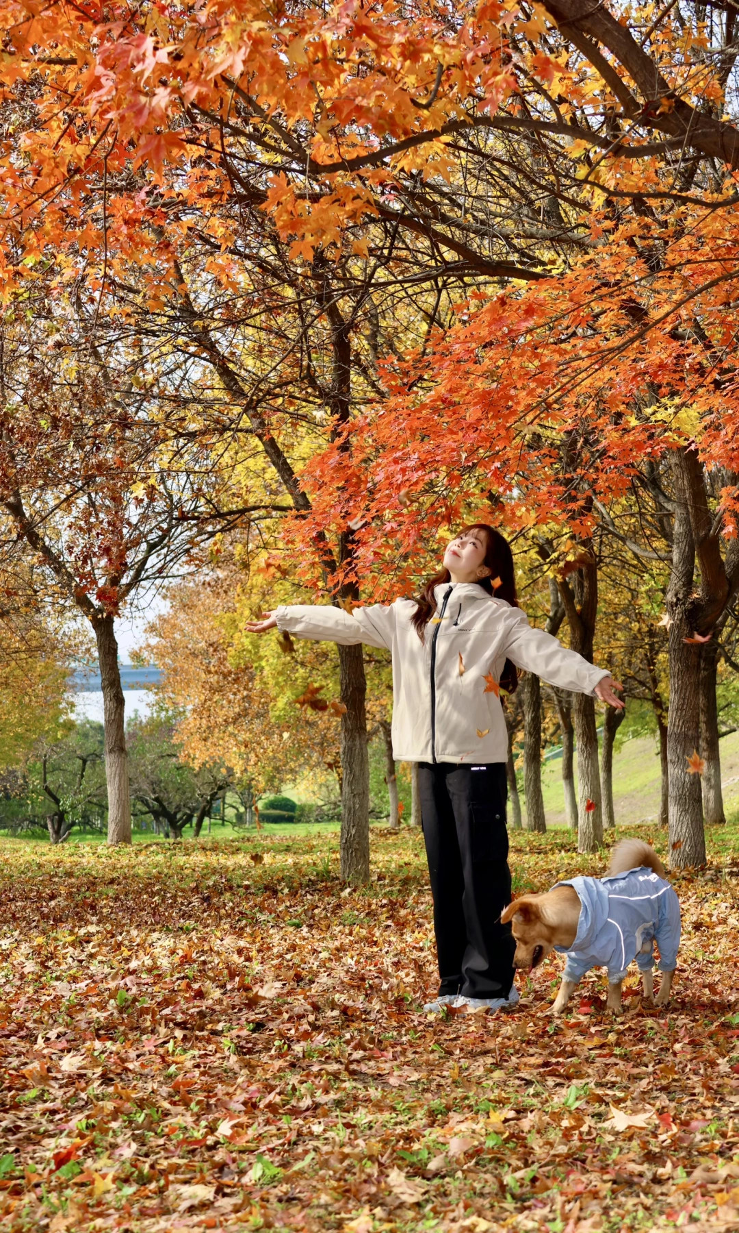 全屏｜西安2️⃣处免费小众赏秋地，美成油画🍁