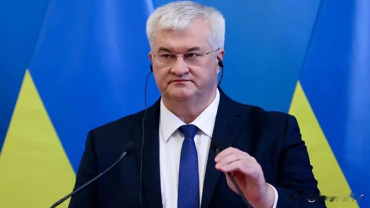 据路透社消息报道，乌克兰外交部长西比加表示，俄乌领导人应亲自会面，以讨论和平谈判