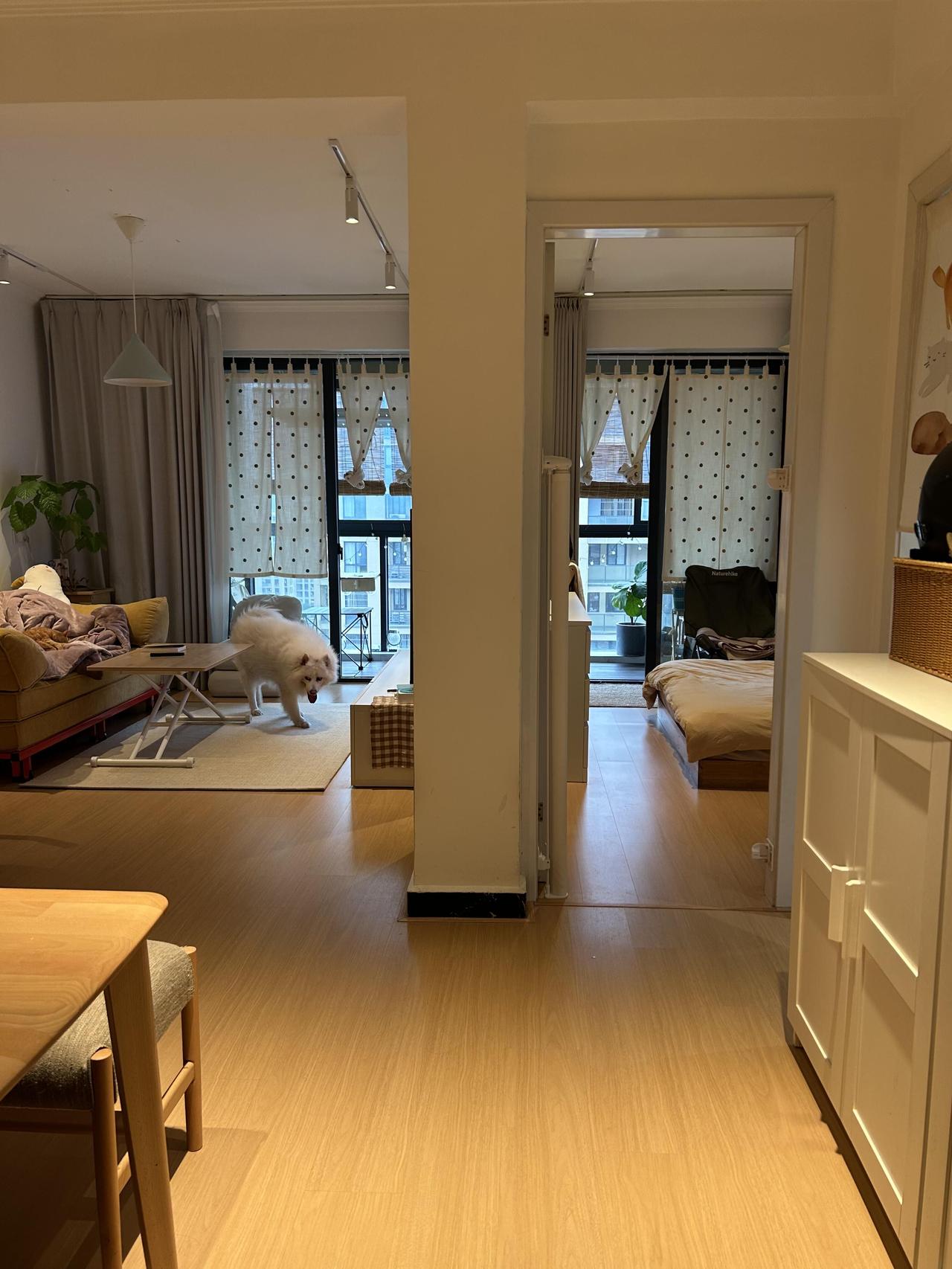杭州一女子晒出自己家，套内60m²，两室一厅一卫，二手老破小，一人一猫一狗，已经