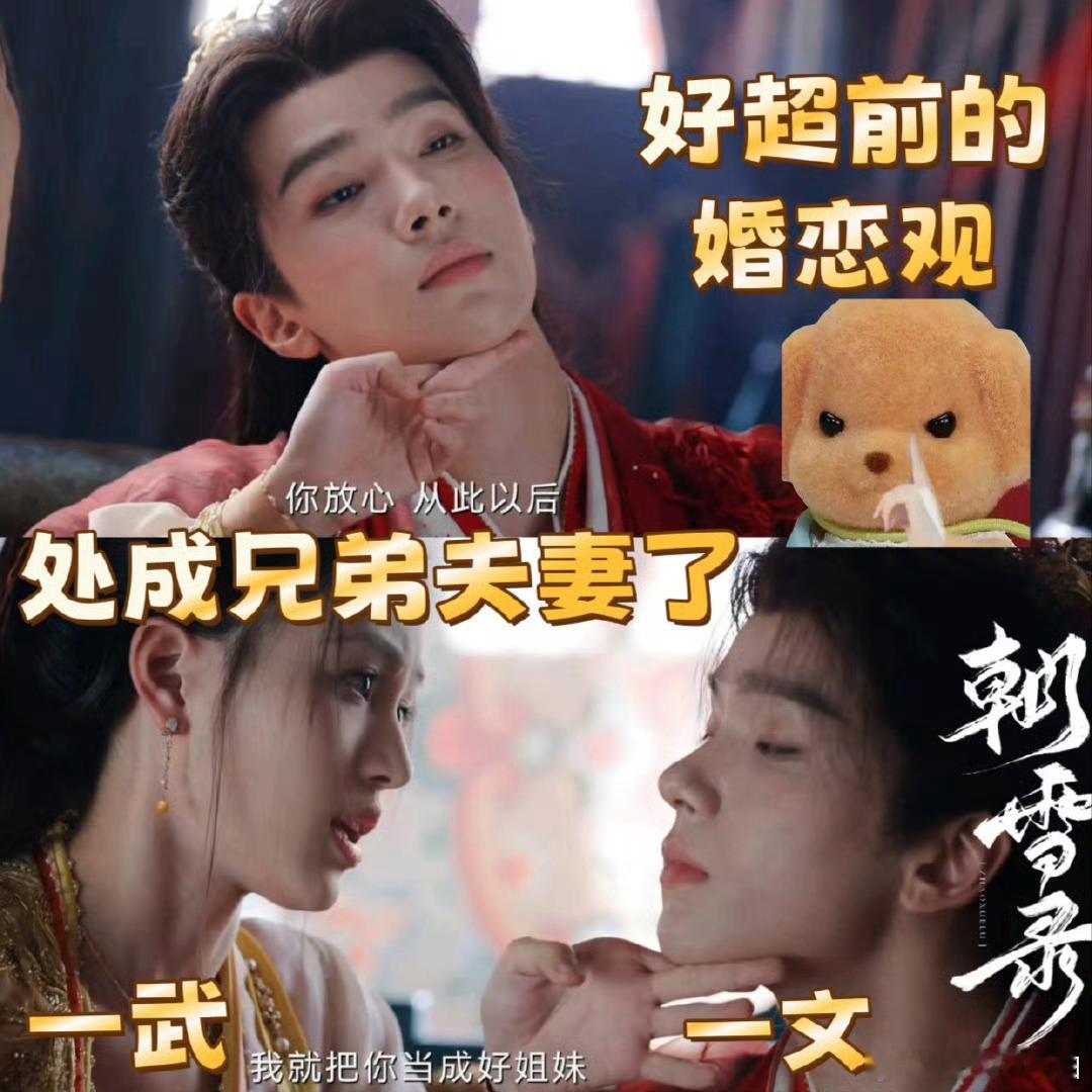 岳凝燕离你俩是真能处啊，一文一武，岳兄燕妹[大笑][大笑][大笑]笑不活了朝雪录