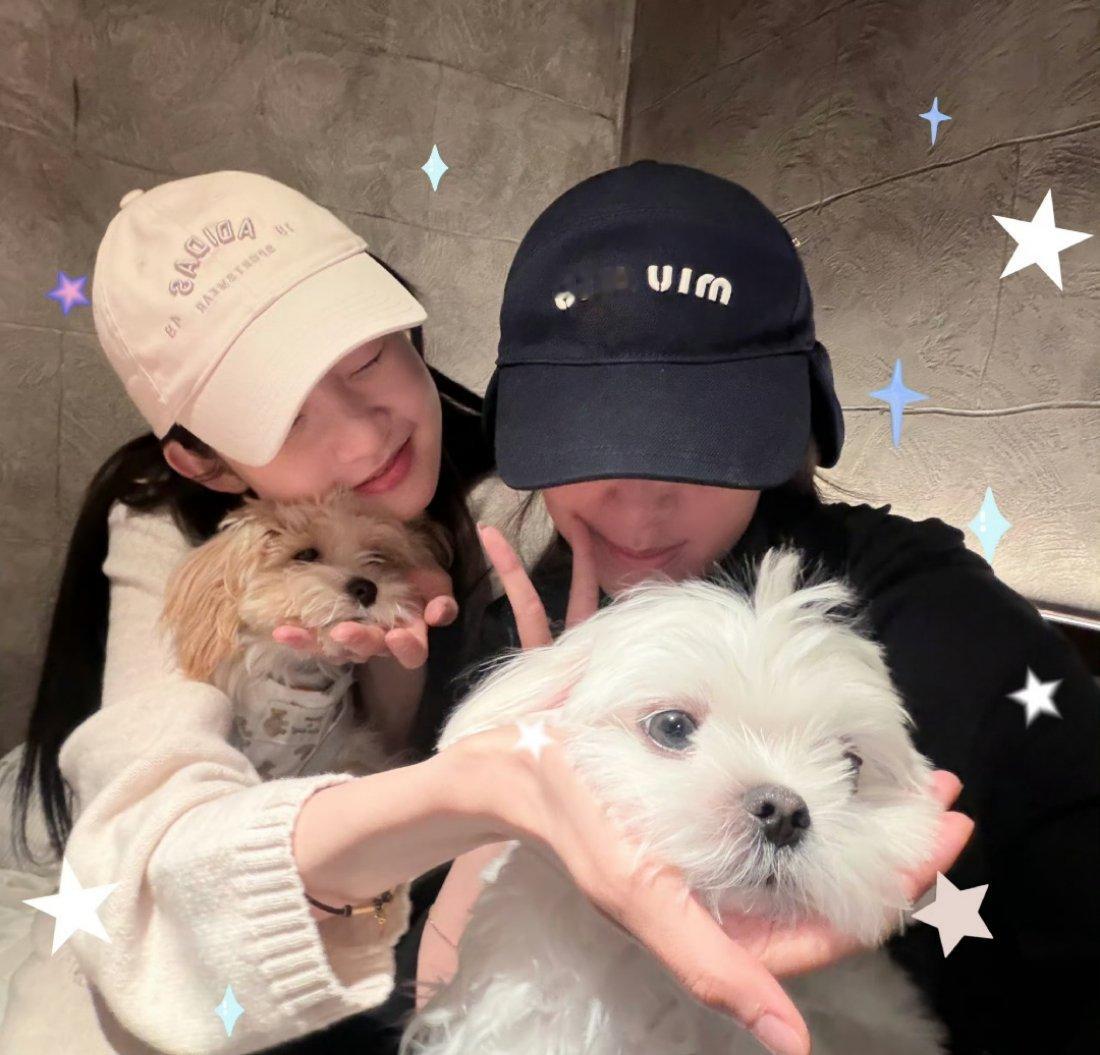 张艺凡这样看两只小狗狗咋长得跟双胞胎一样