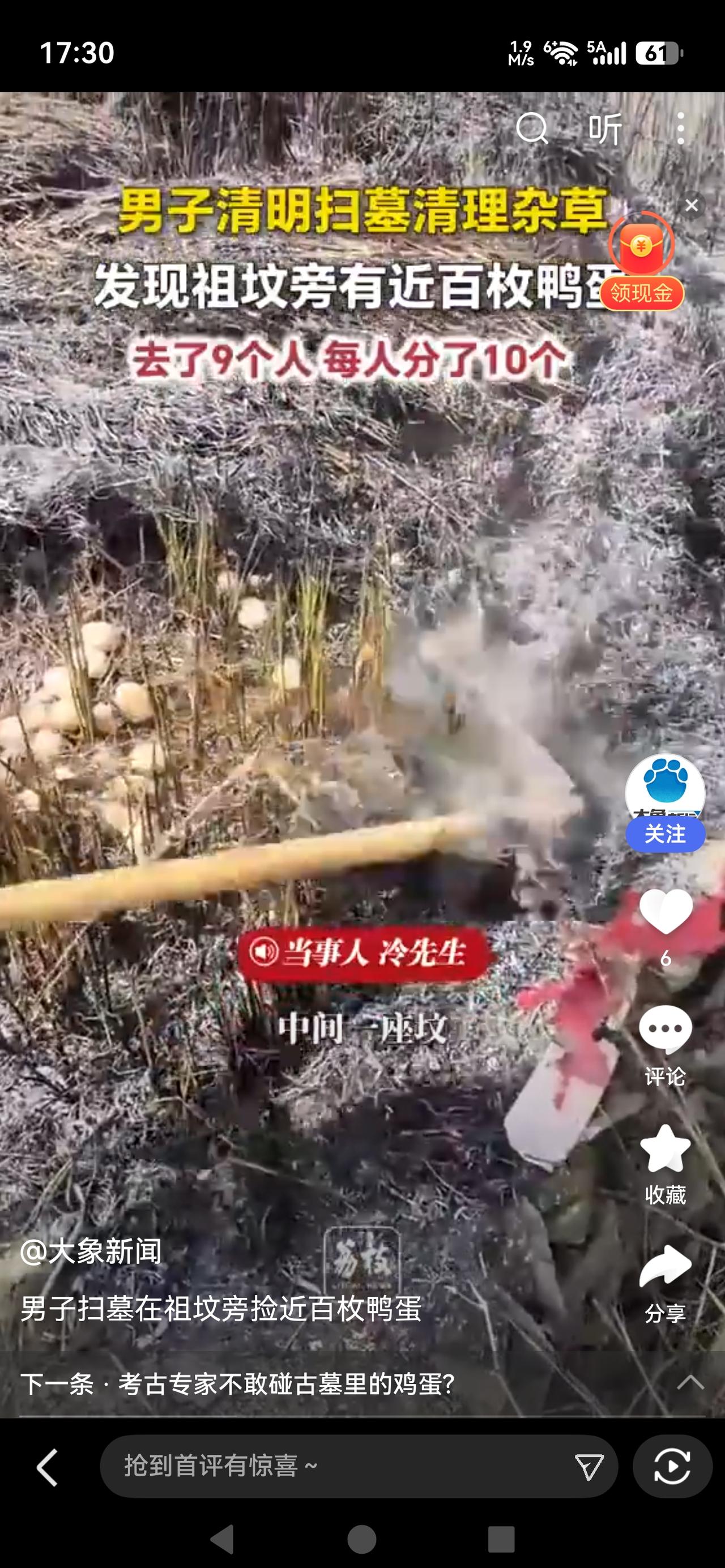 《扫墓扫出“鸭蛋大丰收”！男子祖坟旁捡近百枚，网友：祖宗显灵了？》清明祭扫时