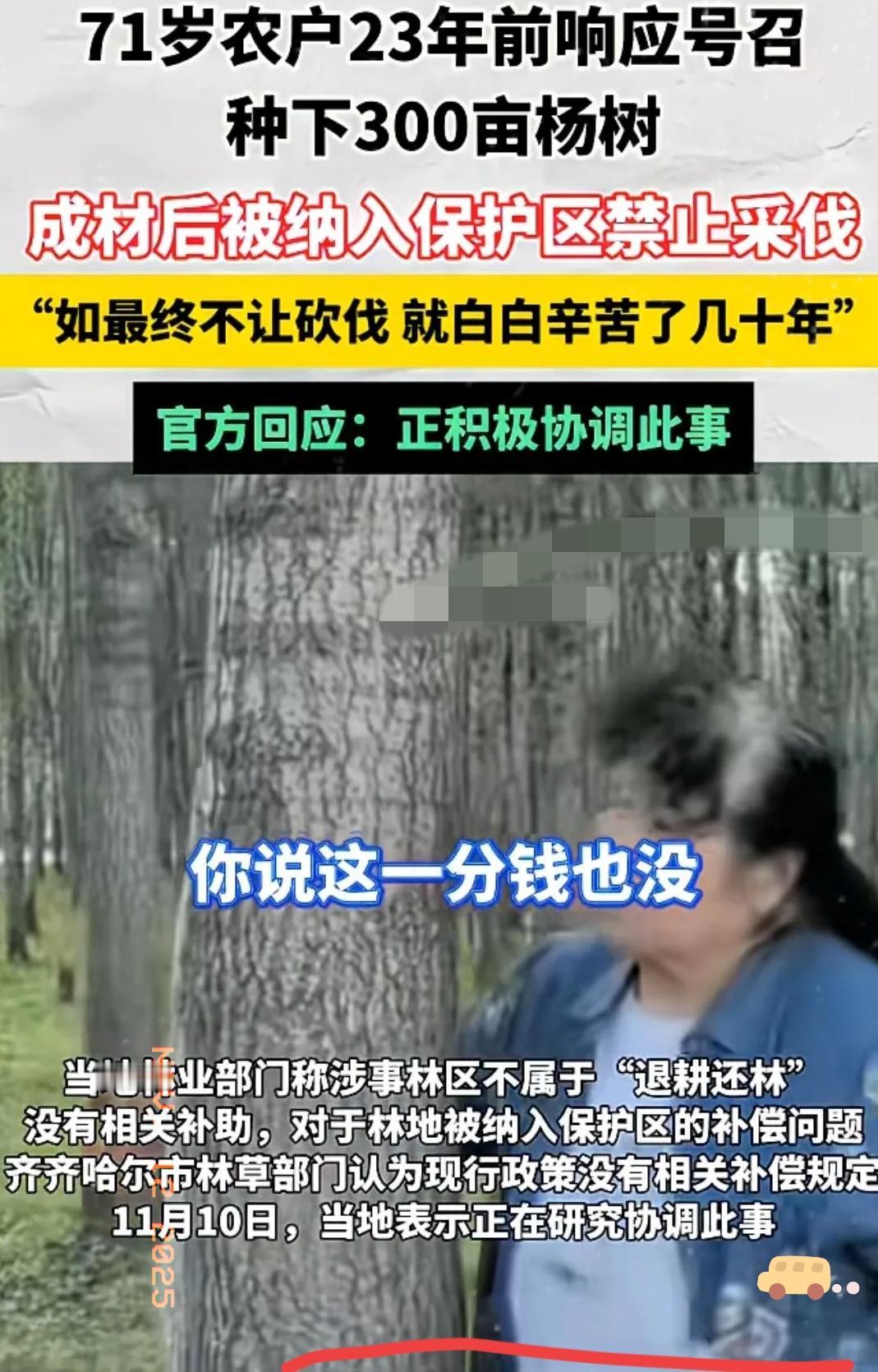 300亩杨树，说收就收了！个人财产神圣不可侵犯，杨树林纳入保护是好事，但需要按