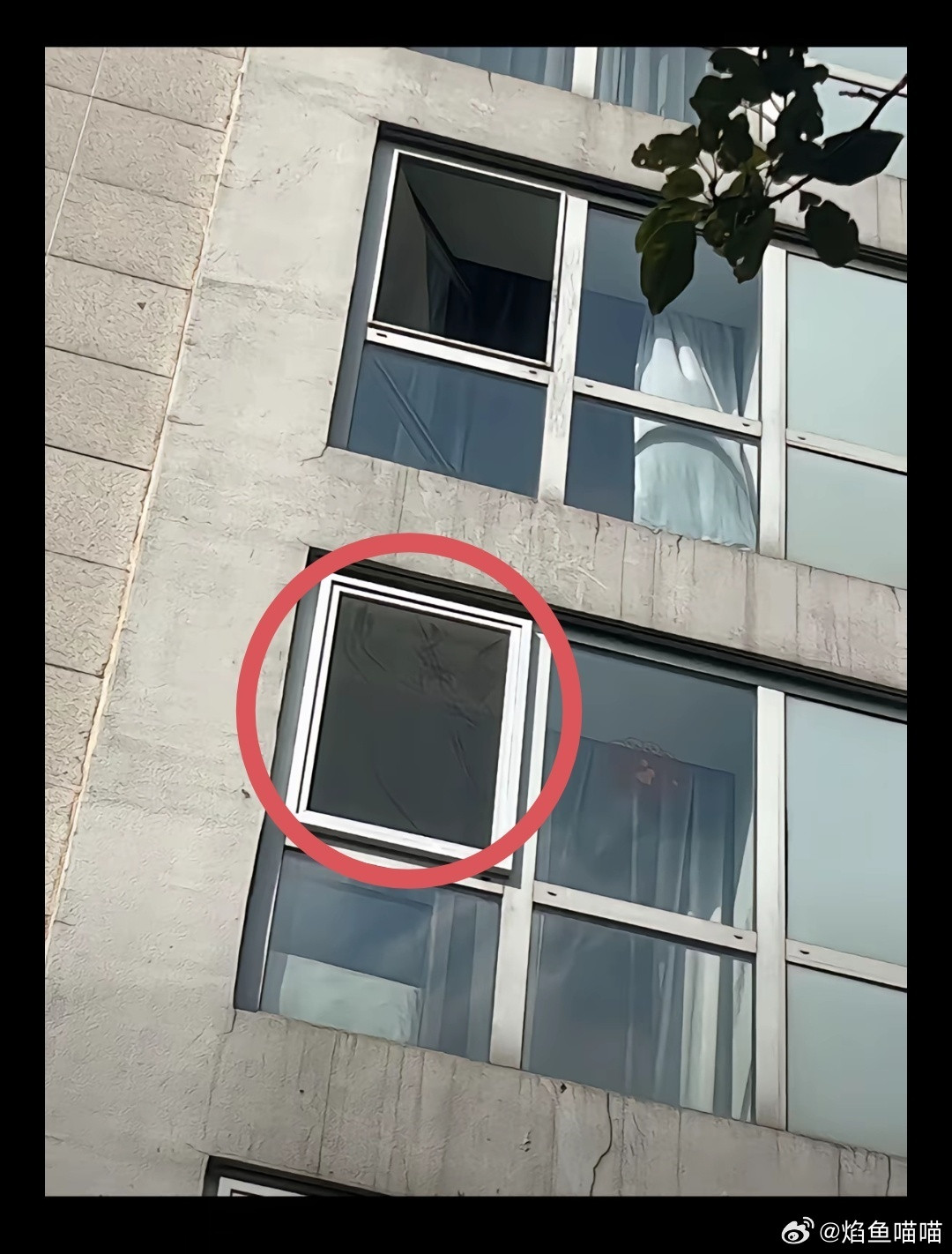 于朦胧去世养狗的人怎么会自杀呢其中的水太深了​​​