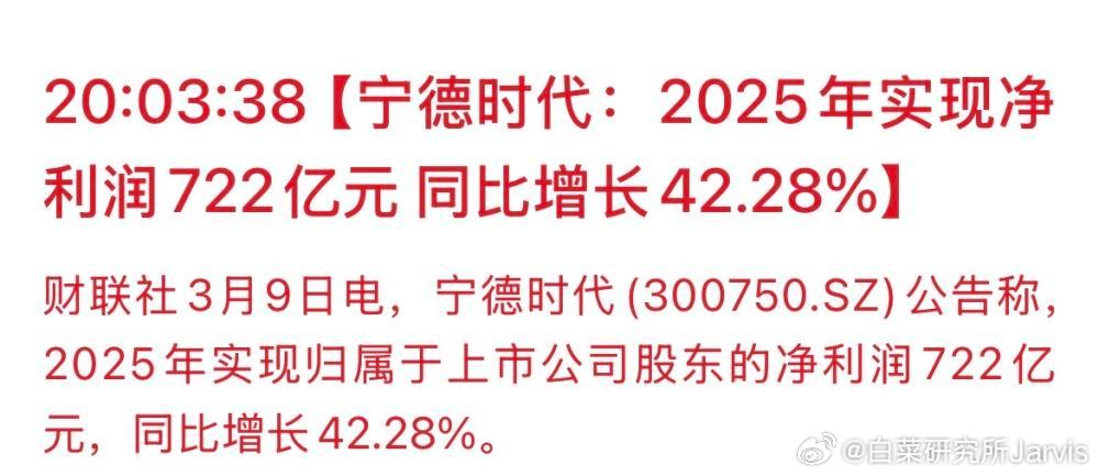 宁德时代2025年净利润722亿元那啥，前几天总有人在我下面评论什么短刀什么的