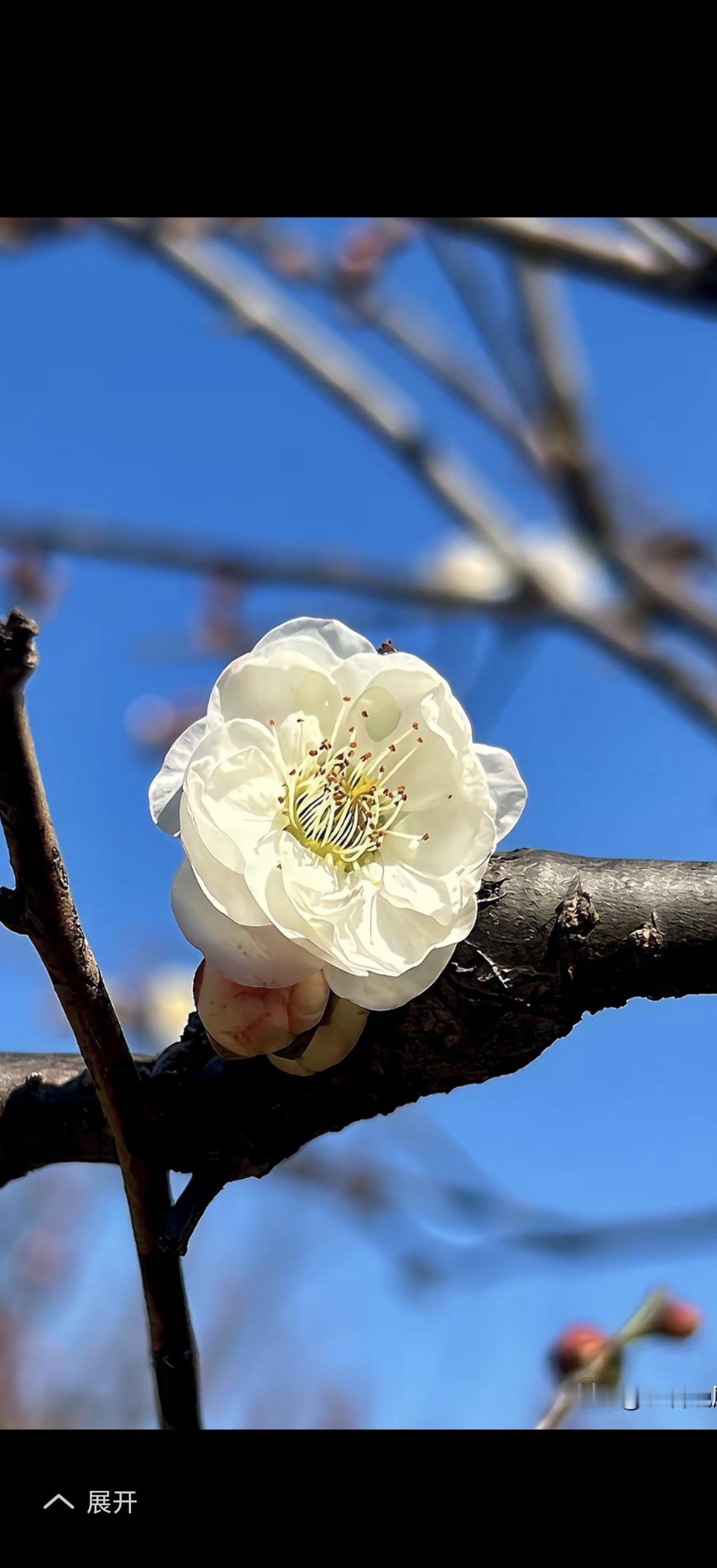 笑口常开，好运连连福大命大