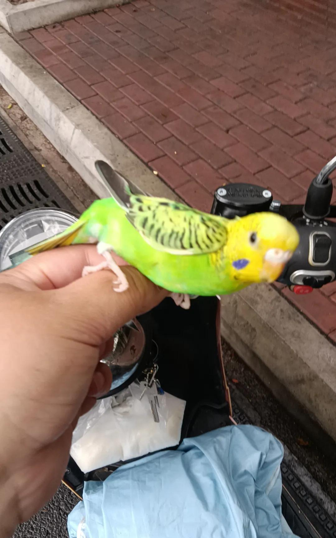 独生子女家庭的辛酸老妈住院时候，隔壁床的阿姨天天往旁边病房跑，因为旁边病房住着
