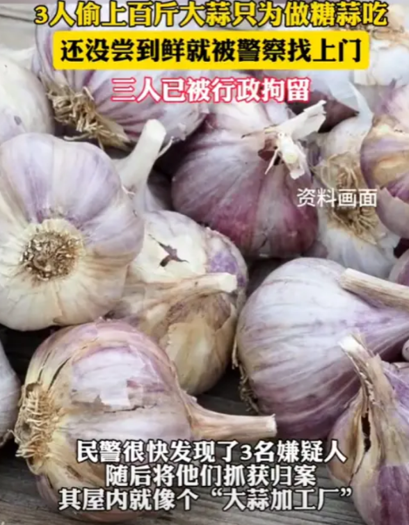 “这是有多馋！”近日，浙江嘉兴，3名男子偷走100多斤大蒜，只为做糖蒜吃！然而，