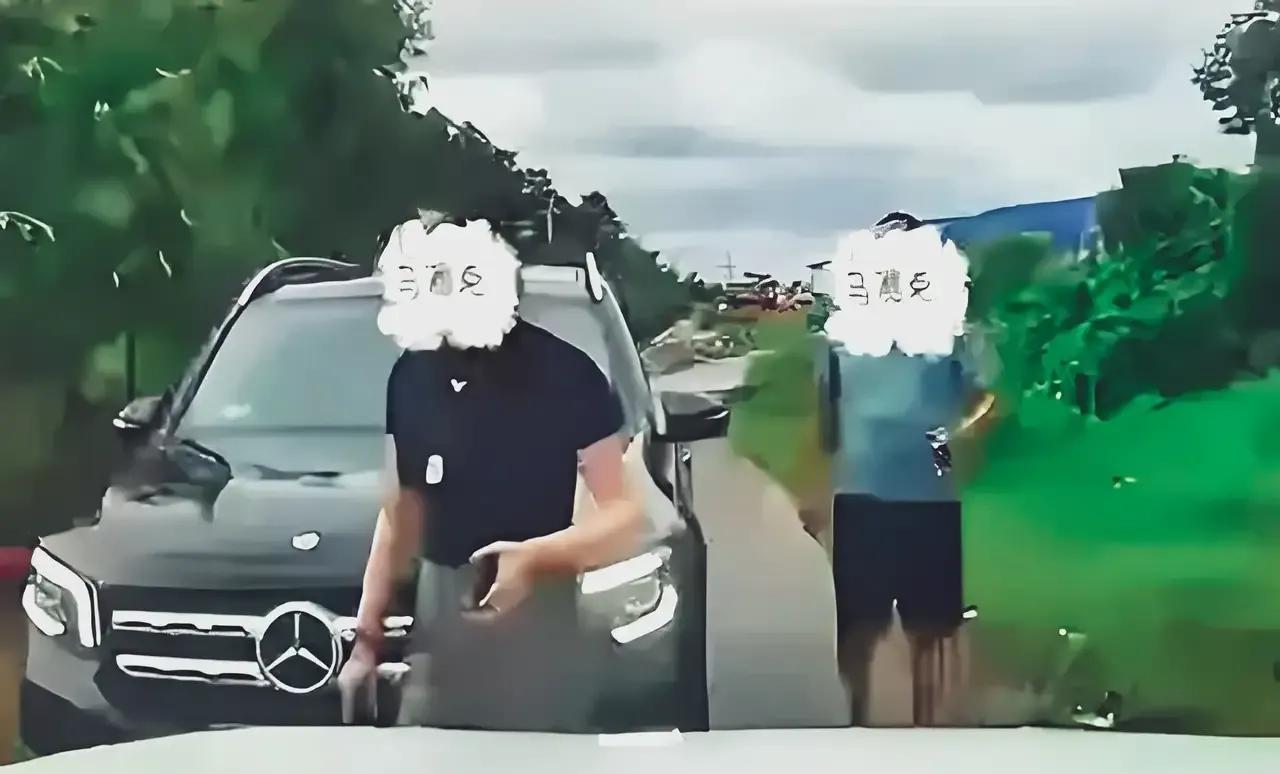 “亮证姐”事件这三点很有意思：1，就是一条农村路，本来挺窄。会车的时候，必须得
