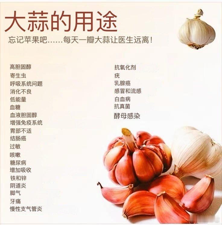 大蒜真的这么好吗，那我开始吃🧄🧄🧄🧄🧄​​​