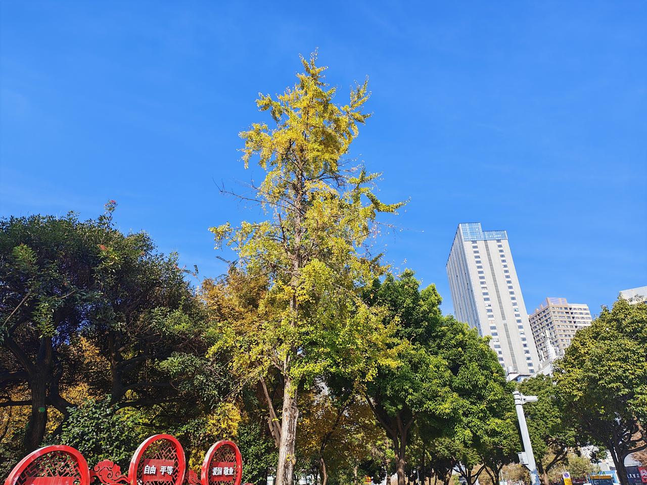 【突然收不到骚扰和诈骗电话了】这两天是怎么回事呀，突然收不到骚扰电话诈骗电话了！