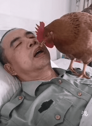 这才叫快准狠[呲牙笑]