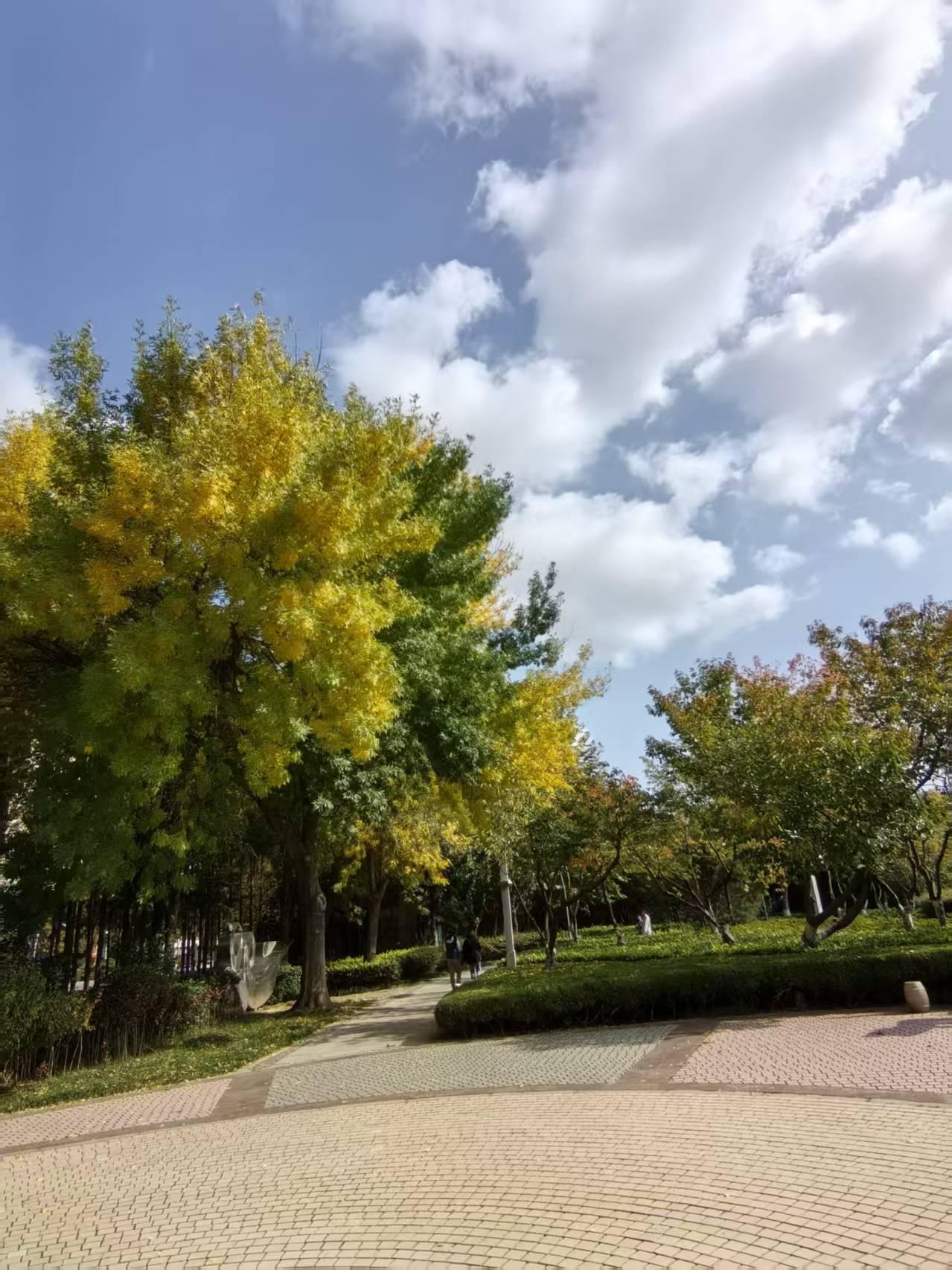 老伴退休以后,我终于过上了饭来张口的幸福生活。老伴半个月前退休了,很多人劝他