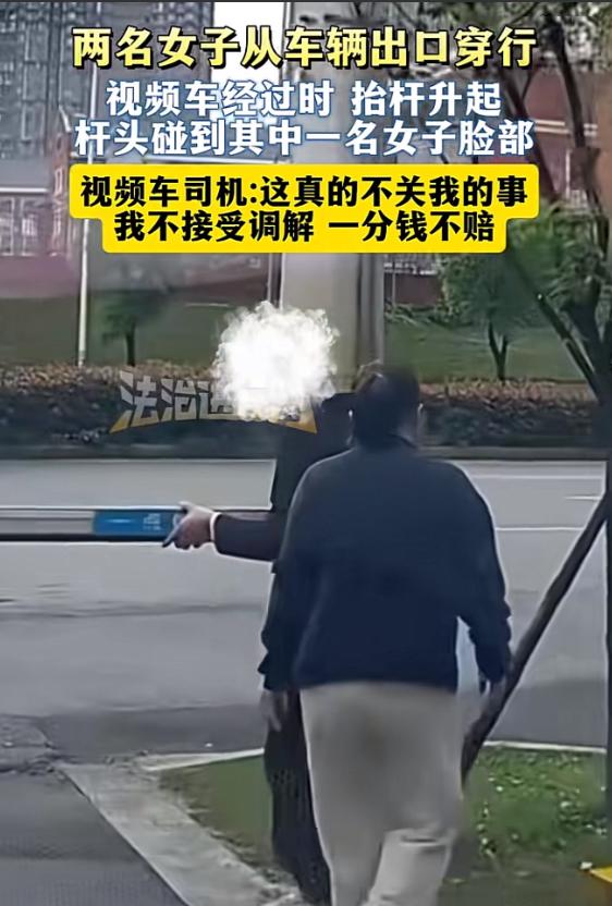 湖南长沙，一业主开车到小区门口，见两女子在前方，其中一名女子手扶着道闸杆。好巧不