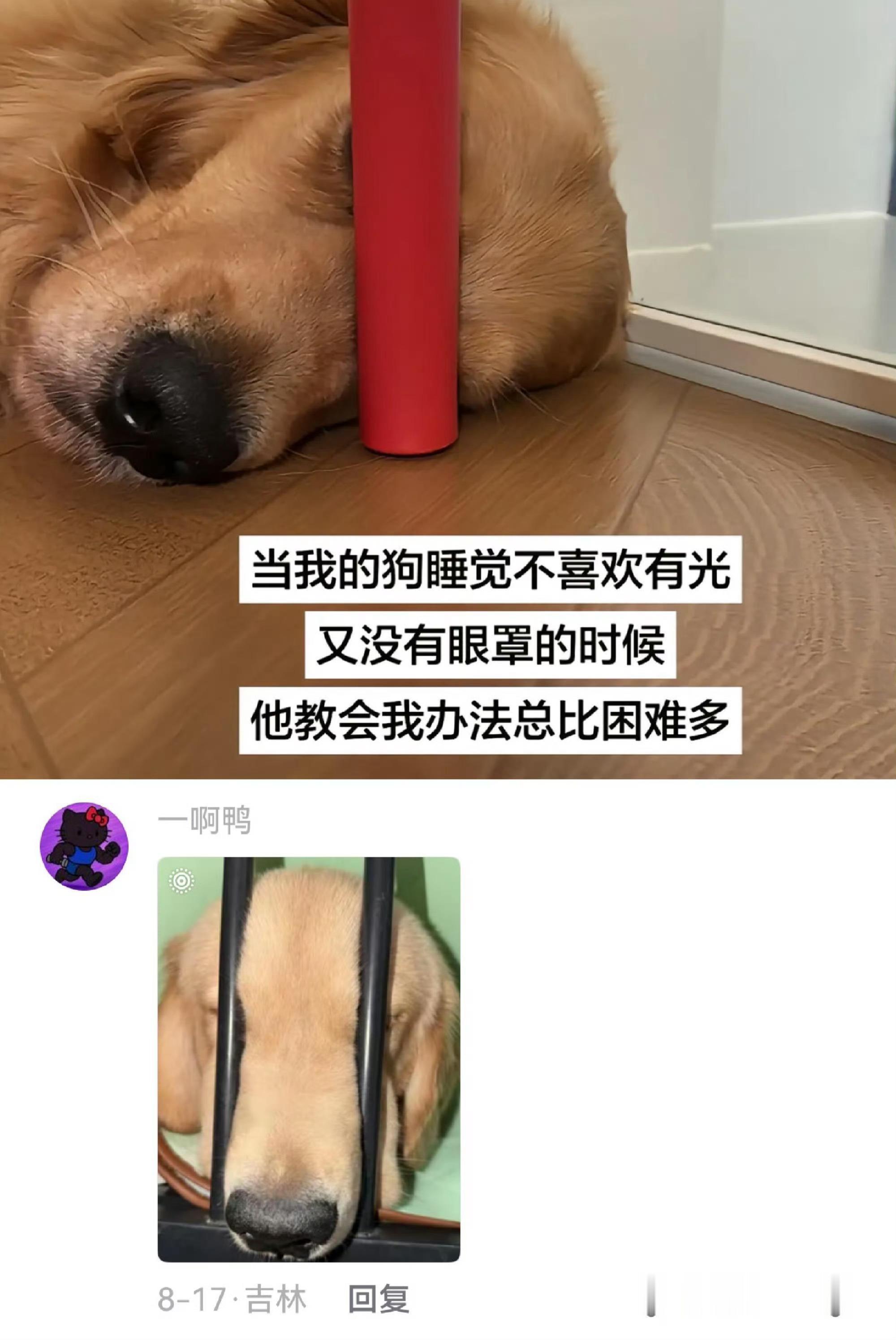 原来是在遮光啊[笑着哭]我说呢​​​