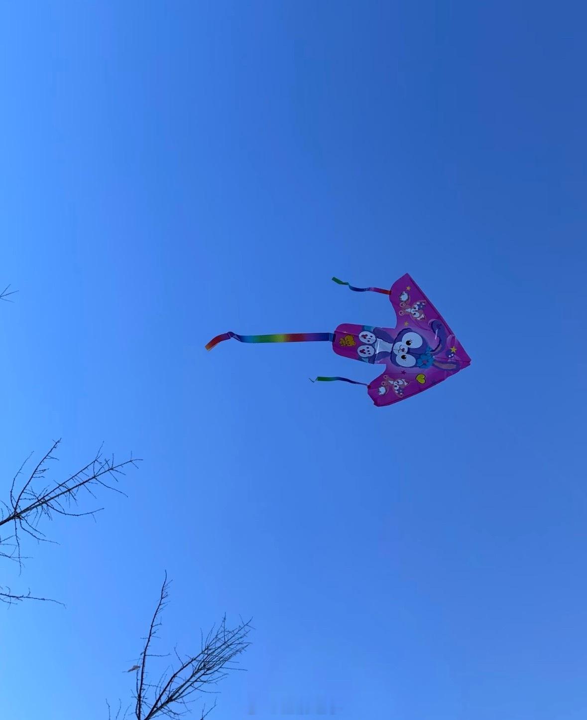 冬天一定要吃点热气腾腾的东西🍜早起发现气温又降了一点从温暖的被窝爬起来更艰难了