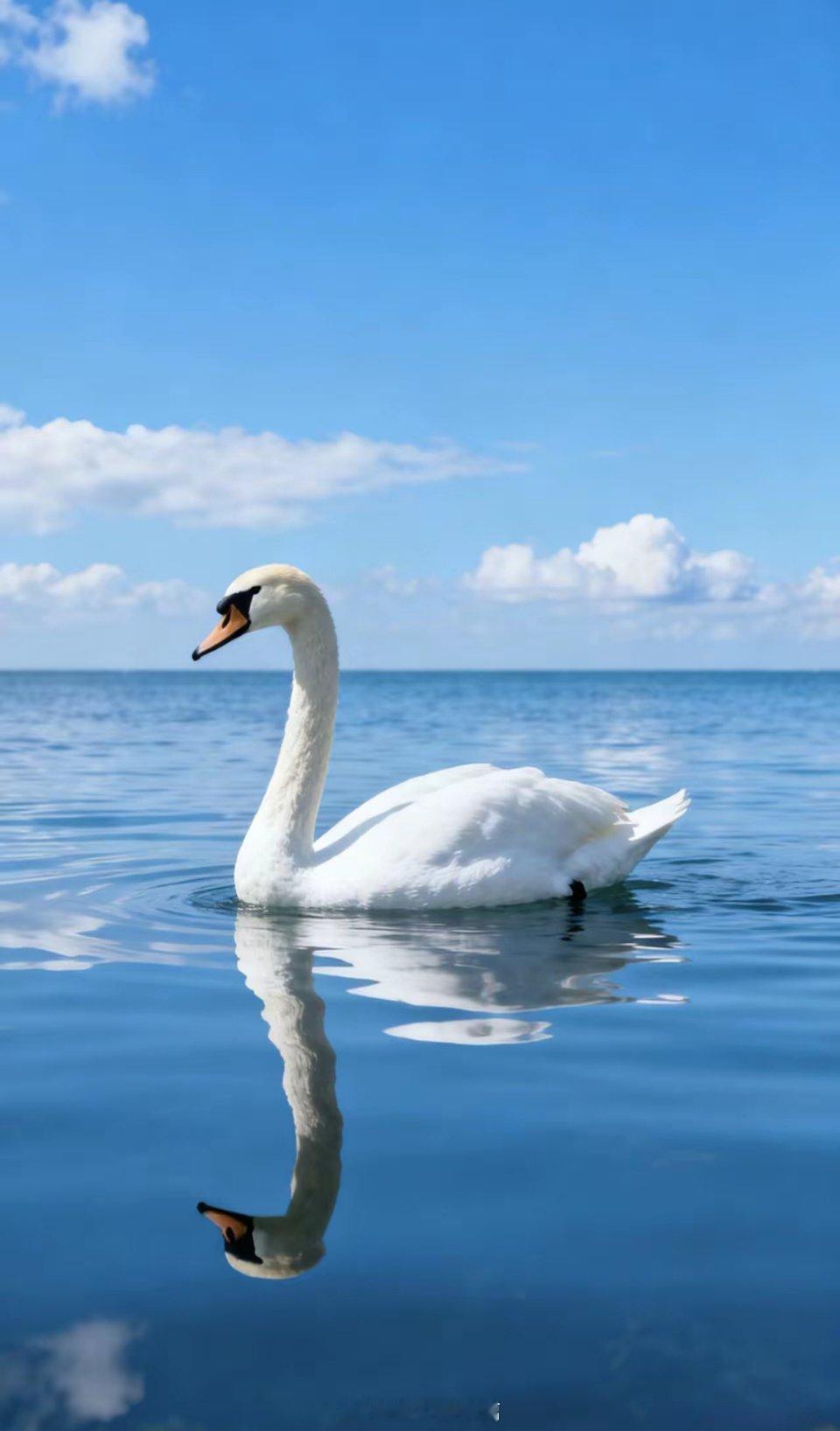 你听过哪些特别搞笑的歇后语一，财神爷要饭一一装穷；二，财神爷摆手一一没钱；三，蚕