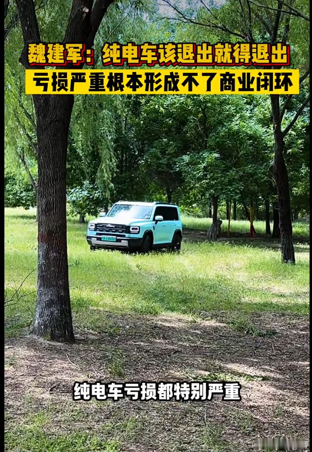 魏建军：纯电车该退出就退出。纯电车亏损严重，形成不了闭环。这个截图有点断章取义，
