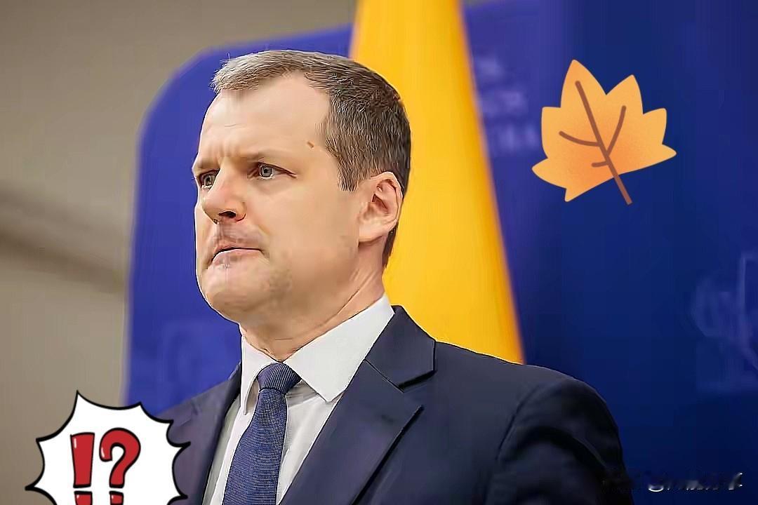 立陶宛这话听着有点意思——“再给中国一次机会”，这话听着倒像是把顺序搞反了。国与