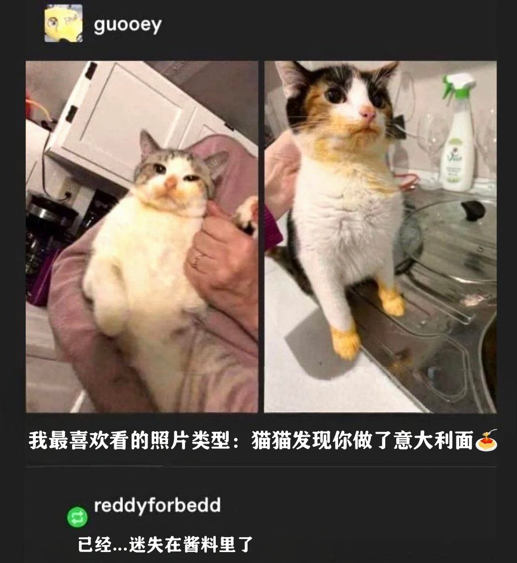 偷吃猫。meow_irl