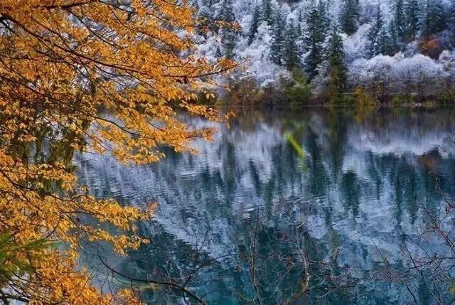 雪后的九寨沟，秋未尽，雪以至，白色与彩色辉映，真令人如痴如醉。