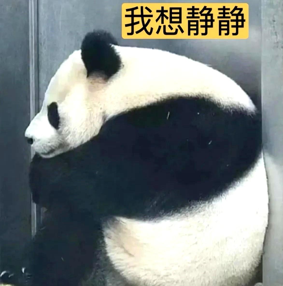 我一个朋友也不知道怎么了，昨天没有和任何人打招呼，也没开车，一个人就这样消失了。