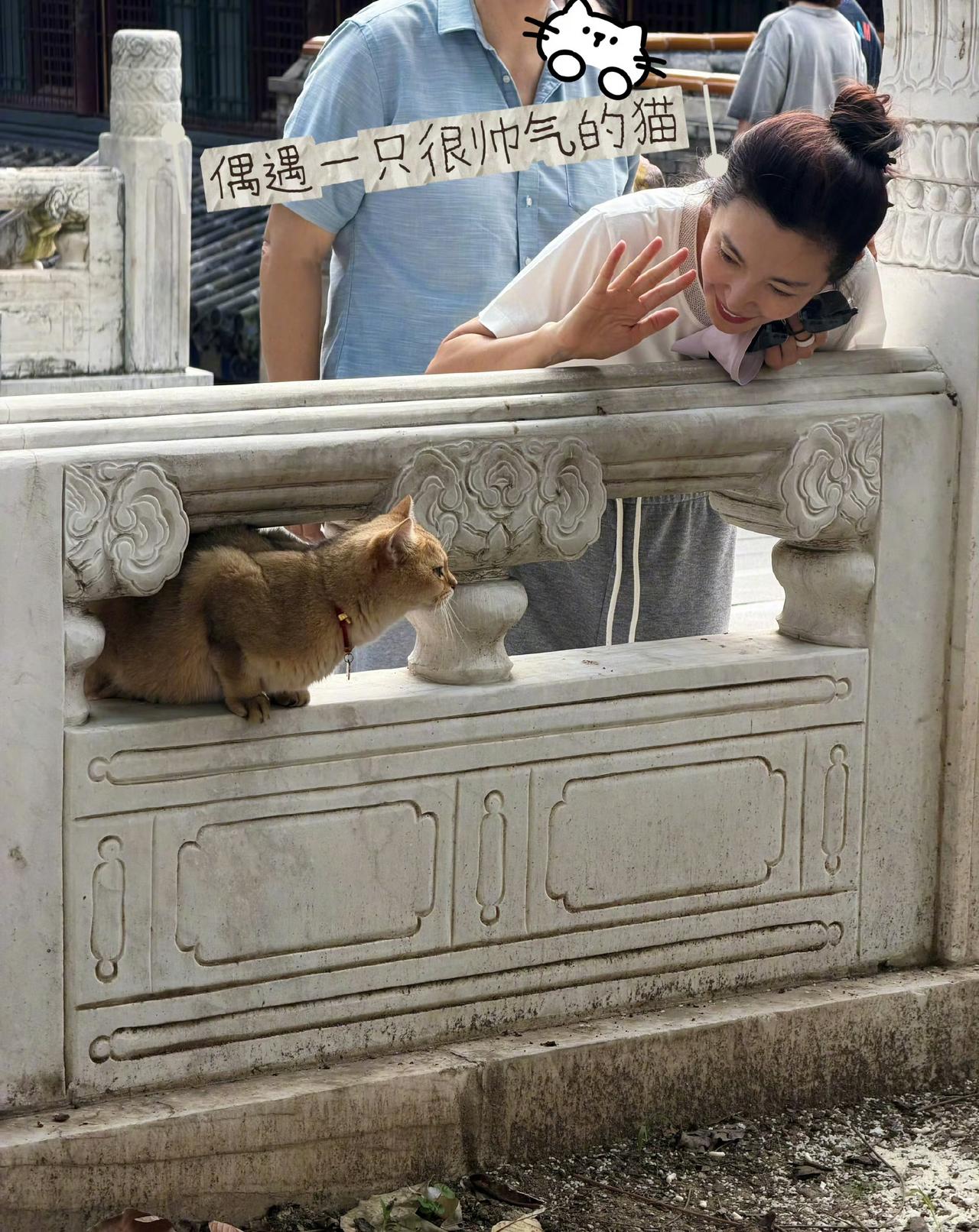 李冰冰，在10月5日国庆节期间于个人账号晒了一组秋日游记美照，从照片中能够看出来
