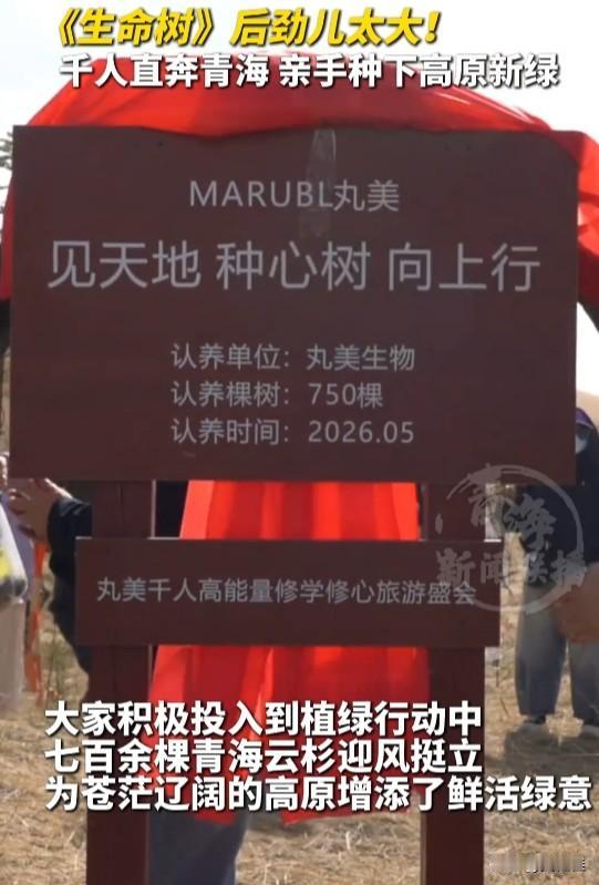 谁能想到，一部《生命树》直接把大家的植树热情给点燃了！这不，丸美直接组织了一千多