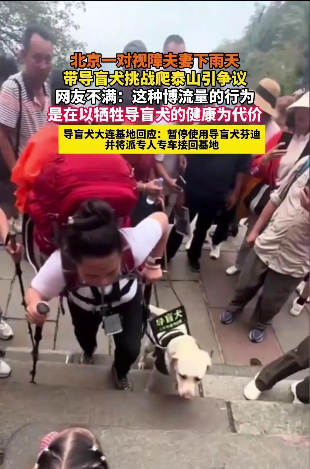 盲人夫妻带导盲犬爬泰山惹众怒，导盲犬连夜被接走！很多网友说，真的不理解盲人为什