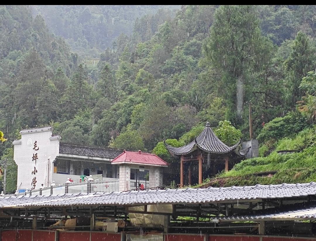 一线教师反对现行职称制度比例详解（结合多份权威调研）综合李镇西3.8万全国