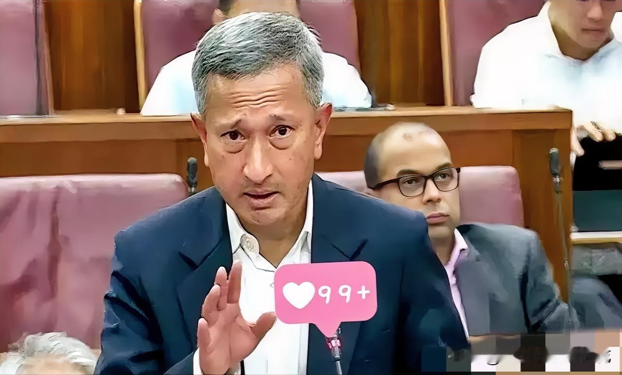 新加坡急了。在东盟的会上，外长几乎是拍着桌子，让中国“尊重”马六甲的地位。翻