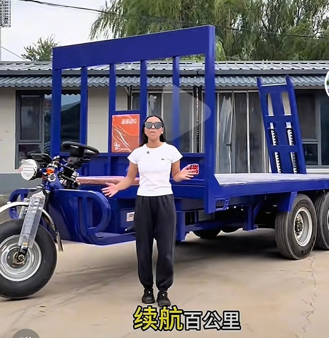 网友投稿：续航百公里载重10吨这对吗😳​​​