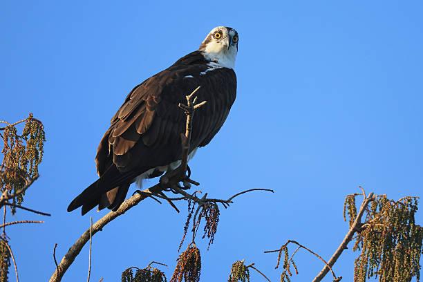 一位心理学老师讲：你以为你在独立思考，其实只是被别人安排好了情绪。有一句话你