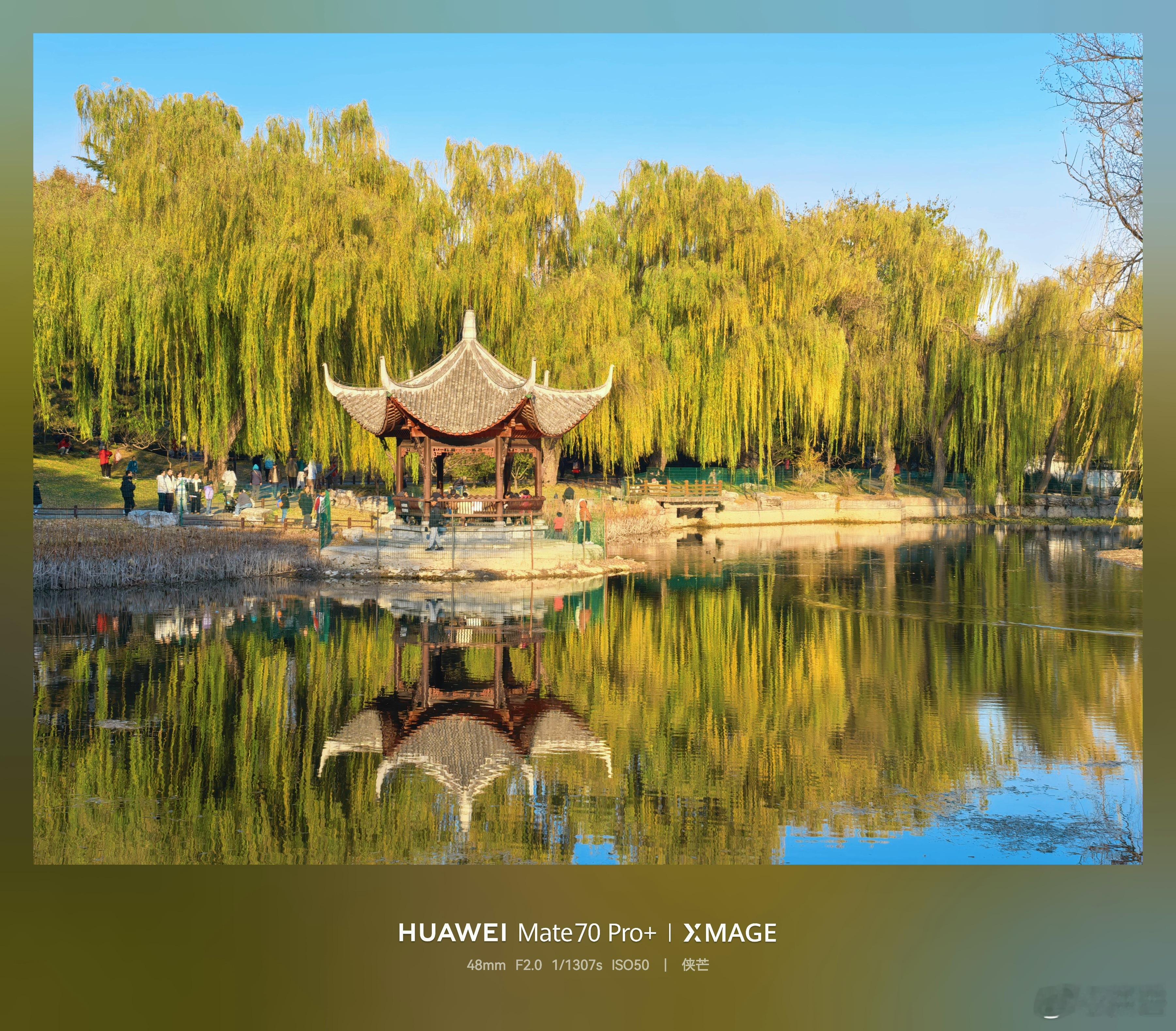 小雪晴光——陶然亭初冬私语        小雪时节，暖阳轻洒，陶然亭公园内杨柳染