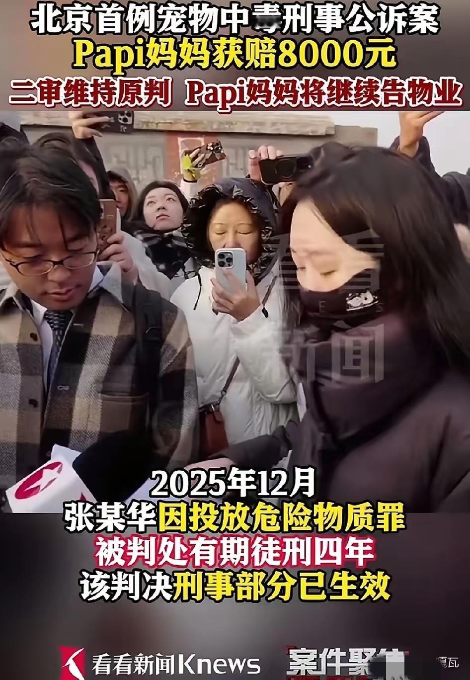 必须追究物业的责任。为何不督促遛狗者拴绳、给狗戴嘴套以及办理狗证？为何不监督