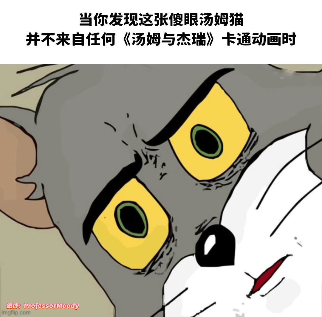 冷知识💡meme​​​