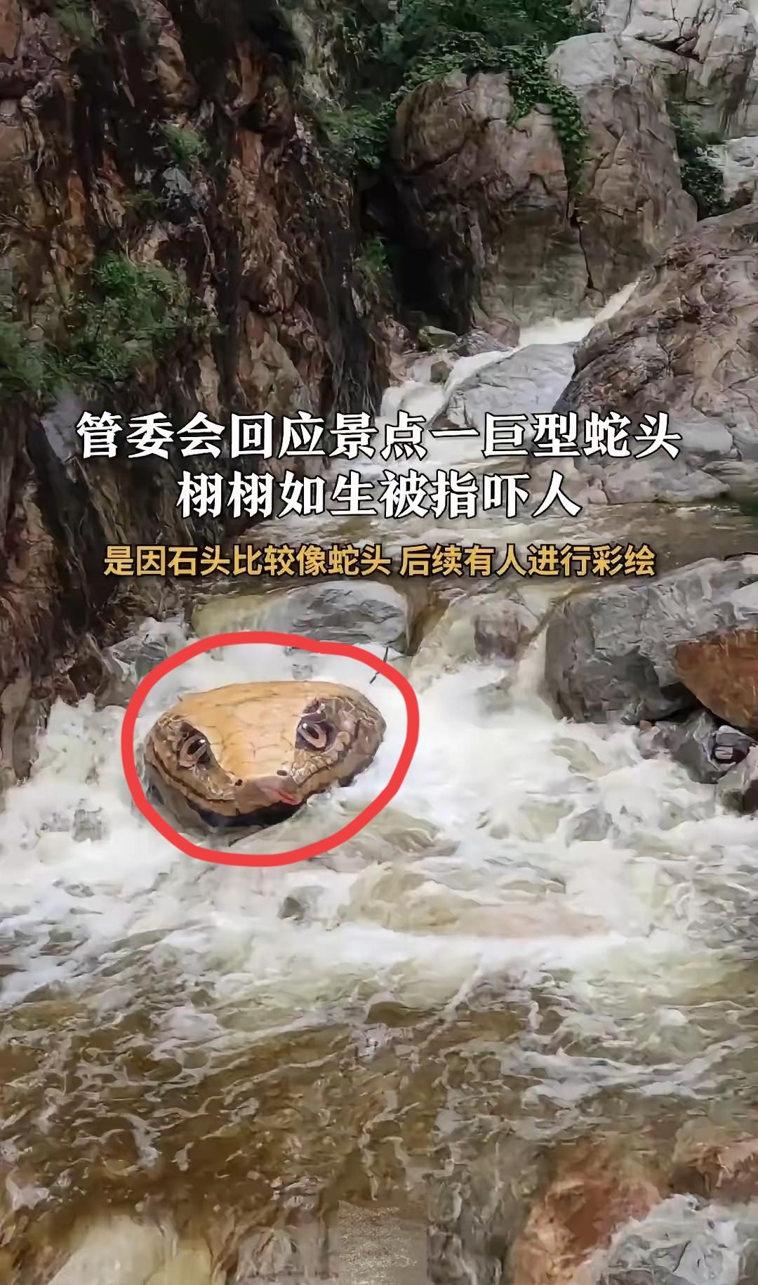 各位朋友，最近上网，你有没有被一条巨大的“蛇”刷屏？别慌，不是《狂蟒之灾》拍续