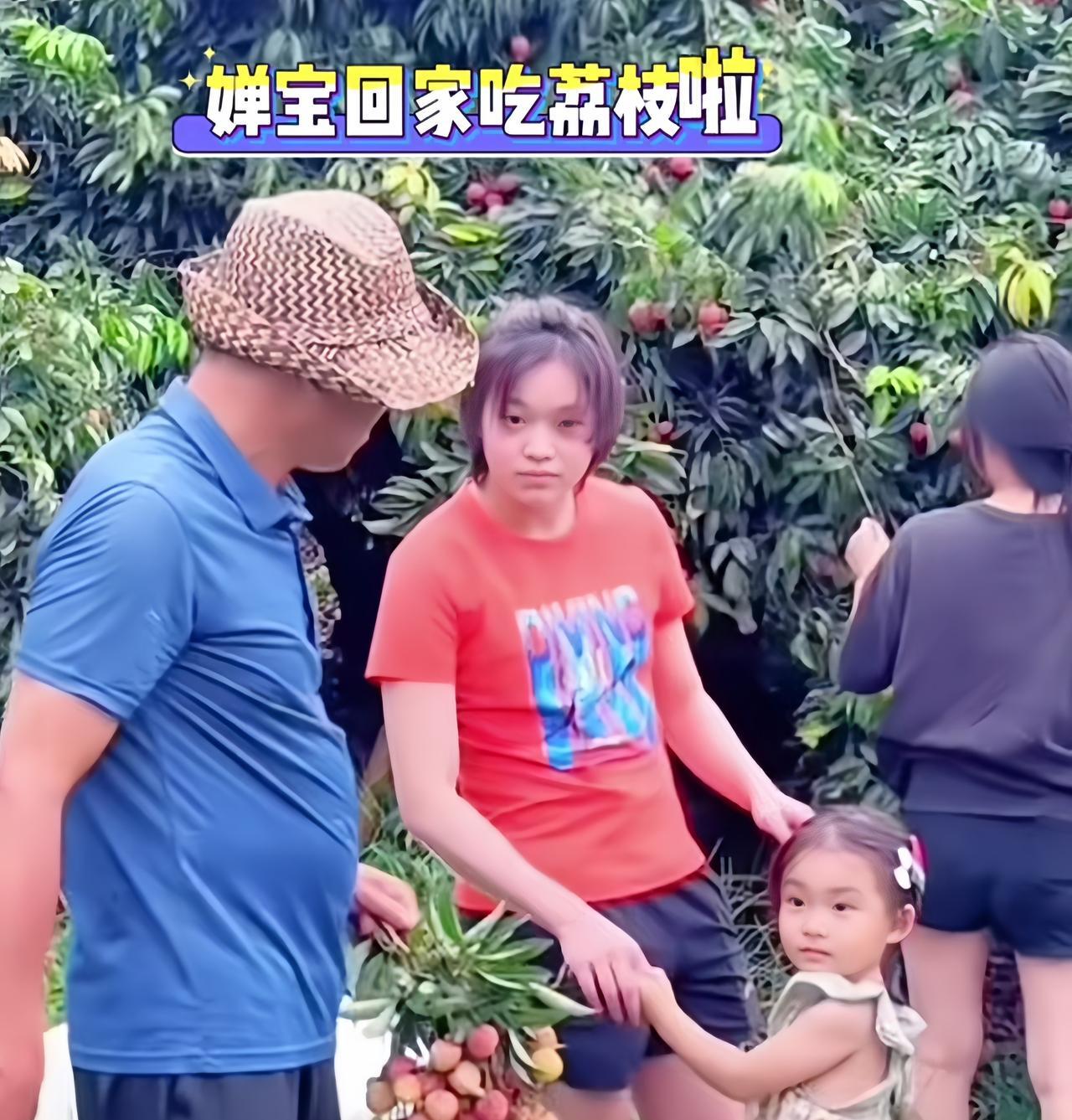 这样的全红禅才是快乐的。在荔枝丰收的季节，难得休闲回去陪家人一起在果园摘荔枝，