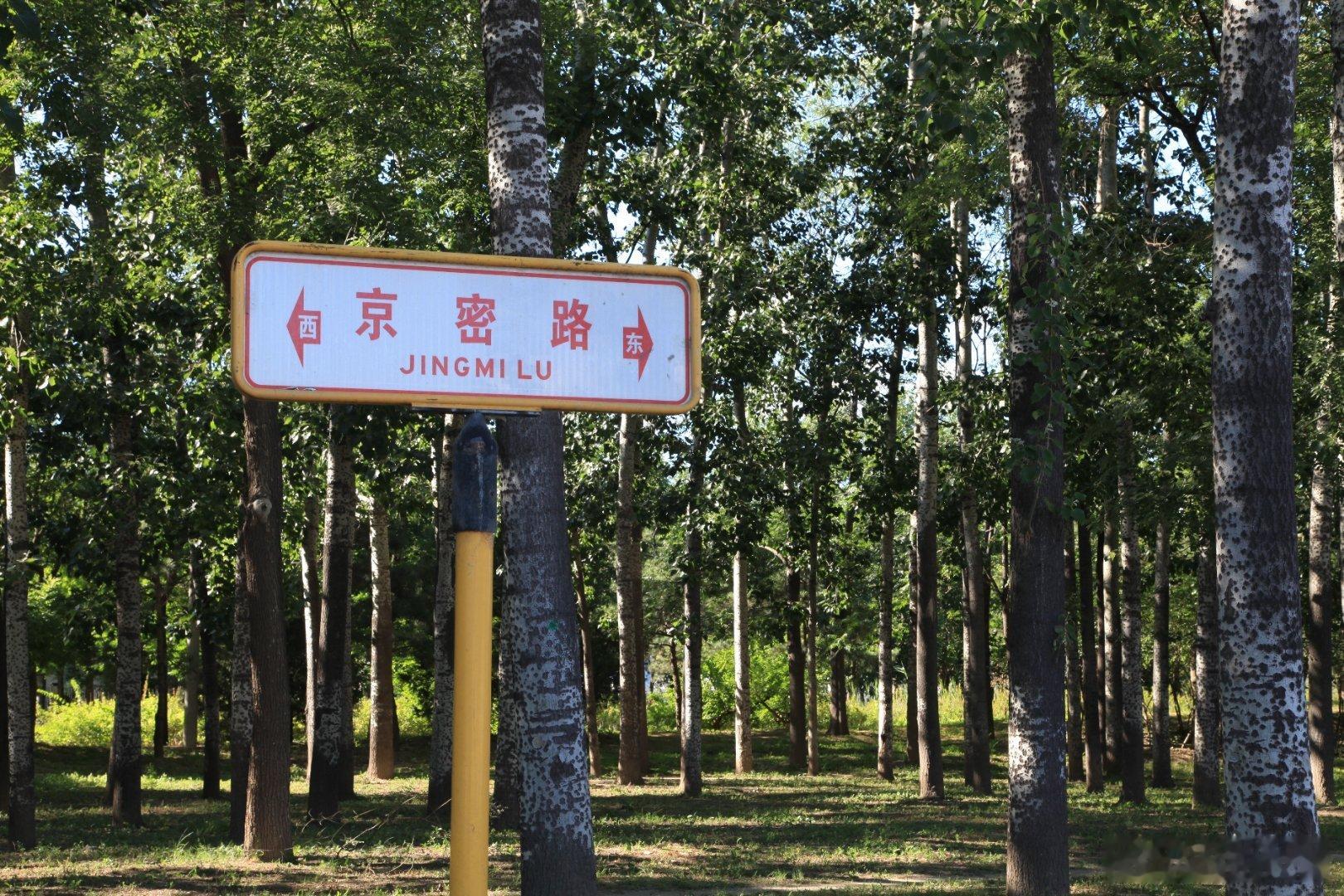 【初夏】🌿京密路修好了，我们来到“京顺园”公园游走。踏入公园仿佛跌入一幅清新画