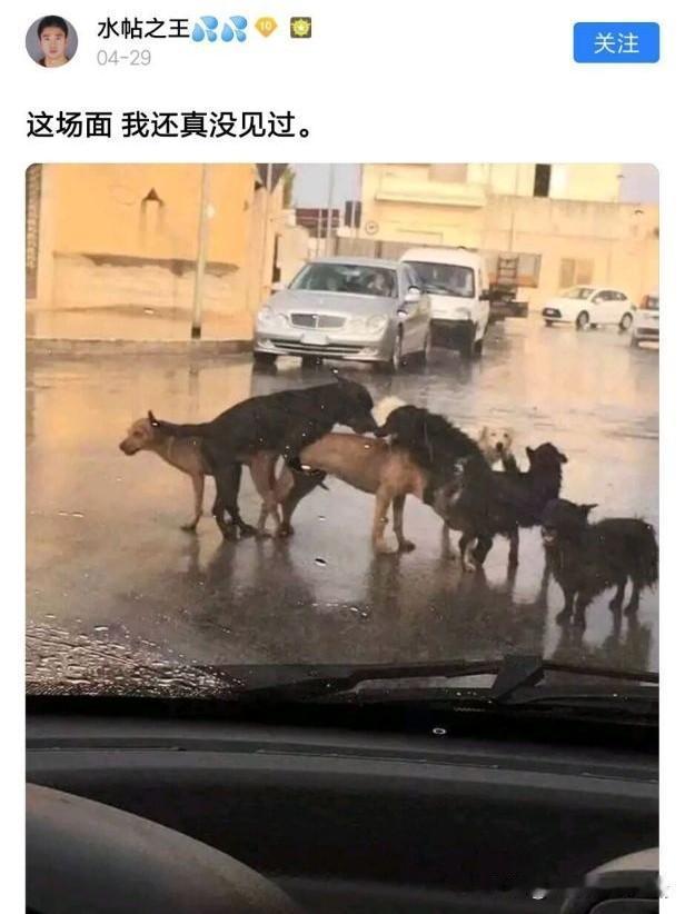 这可是大场面呀