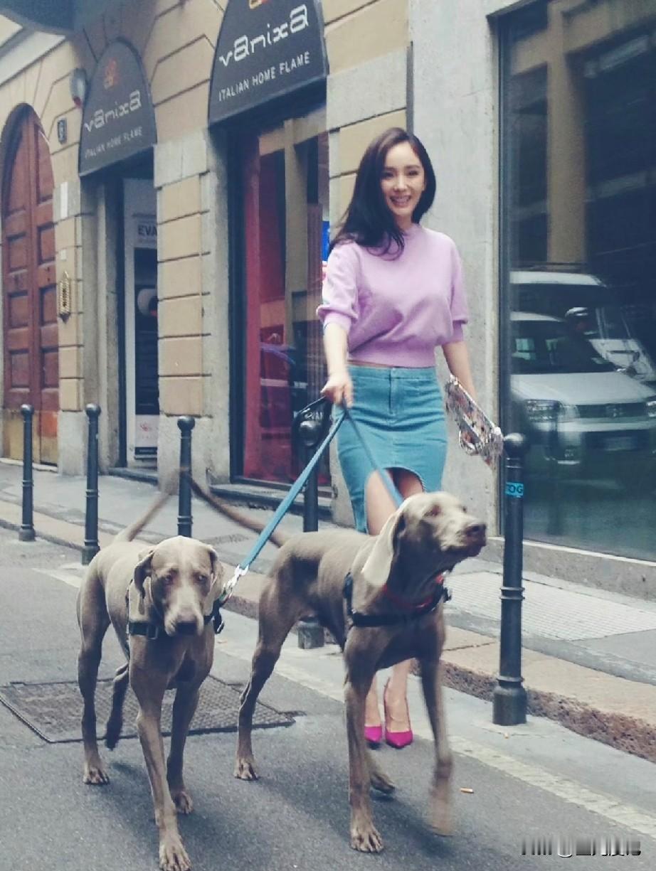 2014年，28岁的杨幂生完女儿小糯米复出，参加米兰时装周的几套造型。那时候杨幂真的好美好美，眼睛笑