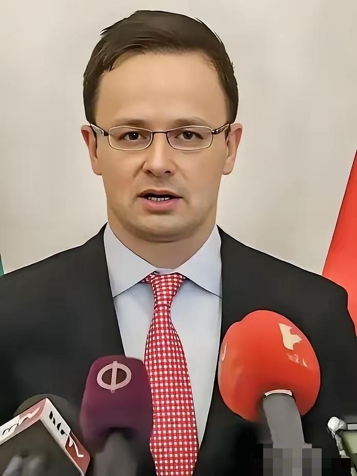 就在刚刚匈牙利外长宣布了！2025年11月17日财联社消息，匈牙利外长西雅尔