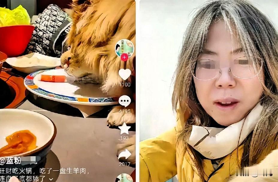 这北京的“爱狗名媛”，这回算是把自己作到坑里爬不出来了！之前总把“毛孩