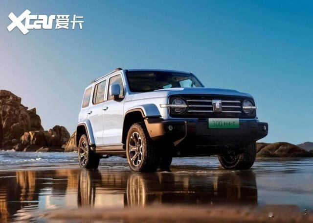 先说新车，全部落地控制在30万以内。坦克300Hi4‑T，卖得最火的一台