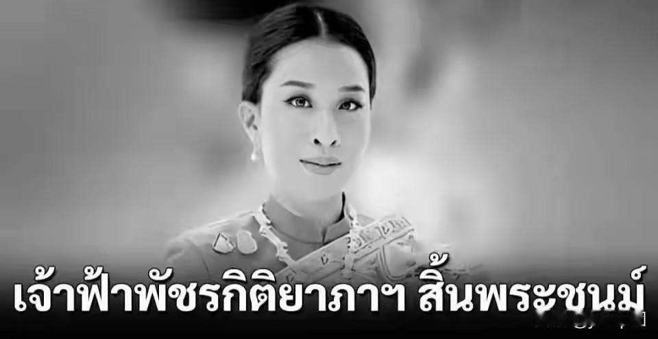 帕差拉死了。昏迷了四年，最后还是没救回来，在病床上咽了气。泰国王室那套继承的